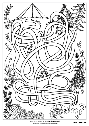 Labirynty karty pracy PDF do druku